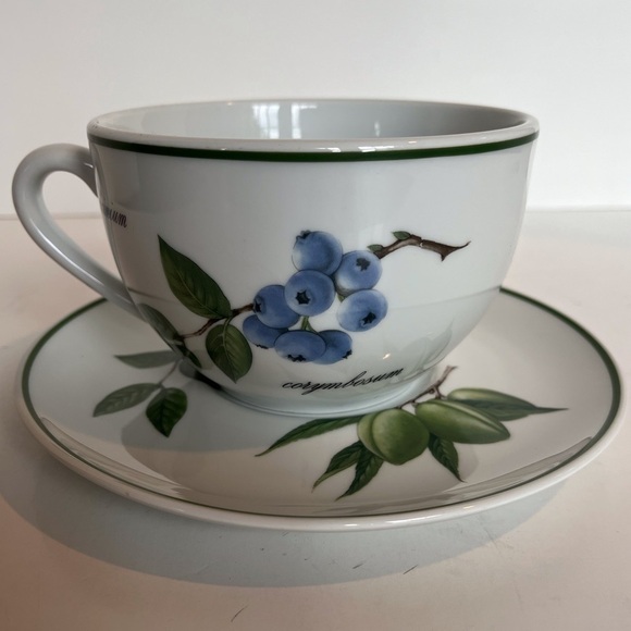 Apilco French Elysian Garden Porcelaine Oversized Breakfast Cup and Saucer - Picture 2 of 15